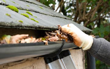 gutter cleaning Uphampton