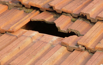roof repair Uphampton